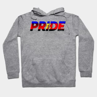 LGBTQ+ PRIDE: Polyamory Pride Flag Hoodie